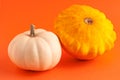 Close up of mini decorative pumpkin white and yellow colors on orange background with copy space. Halloween and Thanksgiving Royalty Free Stock Photo