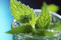 close-up of a mint leaf being muddled in a glass Royalty Free Stock Photo