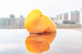 Close-up of a Mirabelle plum, a small yellow plum that is sweet in its taste and tropical Royalty Free Stock Photo