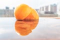 Close-up of a Mirabelle plum, a small yellow plum that is sweet in its taste and tropical Royalty Free Stock Photo