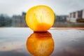 Close-up of a Mirabelle plum, a small yellow plum that is sweet in its taste and tropical Royalty Free Stock Photo