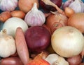 Mixed onions, shallots and garlic of different varieties Royalty Free Stock Photo