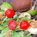 Mixed salad old vegetables spoiled Royalty Free Stock Photo