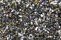 Close-up of Mixed Wet Pebbles and Shells on The Beach in California Royalty Free Stock Photo