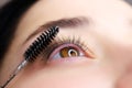 The model`s eye with a curl of cilia the work is done lamination of eyelashes the master combs the cilia with a brush