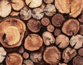 Close up modern creative decor wall with stacked wooden sawn logs