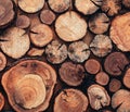 Close up modern creative decor wall with stacked wooden sawn logs