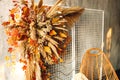 Close up modern interior with wicker chair and pampass grass Royalty Free Stock Photo