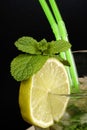 Close-up of Mojito cocktail Royalty Free Stock Photo