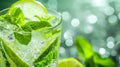 A close-up of a mojito glass, highlighting its mint leaves, lime wedges, and sparkling soda Royalty Free Stock Photo
