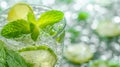 A close-up of a mojito glass, highlighting its mint leaves, lime wedges, and sparkling soda Royalty Free Stock Photo