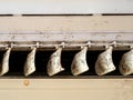 Close up mold in air conditioner system. Danger and the cause of pneumonia and respiratory diseases in house or office. air condit Royalty Free Stock Photo