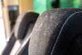 Close up of mold on the head rest of a car seat that has been laid up for several months Royalty Free Stock Photo