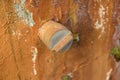 Close-up Moldy Old PVC Cap on Dirty Concrete Wall - Green Garden Royalty Free Stock Photo