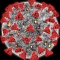 Close up molecule corona virus covid 19