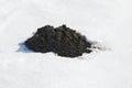 Close up of molehill in virgin fresh white snow