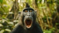 Close up of a monkey with its mouth open, suitable for various projects Royalty Free Stock Photo
