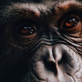 A close up of a monkey& x27;s face. Generative AI image. Royalty Free Stock Photo
