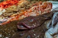 Close-up monkfish in a fish shop with prawns and langoustines on the background Royalty Free Stock Photo