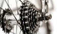 Close-up monochrome image of a bicycle\'s rear cassette and chain Royalty Free Stock Photo