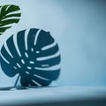 Close-up of Monstera Leaf Shadow on Surface Royalty Free Stock Photo