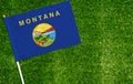 Close-up of Montana flag against closed up view of grass