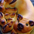 Close up of moon cake with mother pig and piglets shape