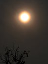 Close up Moon Halo Isolated on Sky in Thailand