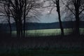 close-up of a moonlit night, with the outline of trees and fields in the background