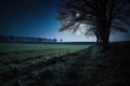 close-up of a moonlit night, with the outline of trees and fields in the background