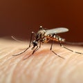 Close up of a mosquito on human skin, highlighting a nuisance