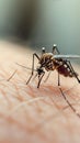 Close up of a mosquito on human skin, highlighting a nuisance