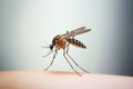 Close-up of a mosquito sucking blood. Mosquito on a human hand sucking blood. Generative AI Royalty Free Stock Photo