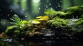 A close up of a moss covered rock with some small plants, AI Royalty Free Stock Photo