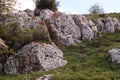 Close-up Rock Formation That Can Be Used as Background and Texture Royalty Free Stock Photo