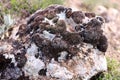 Close-up Rock Formation That Can Be Used as Background and Texture Royalty Free Stock Photo