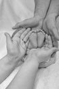 loving parents hands holding their baby's feet Royalty Free Stock Photo