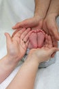 loving parents hands surrounding their baby's feet Royalty Free Stock Photo