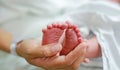 Close up mother hand holding newborn baby feet Royalty Free Stock Photo