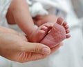 Close up mother hand holding newborn baby feet Royalty Free Stock Photo