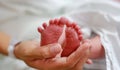 Close up mother hand holding newborn baby feet Royalty Free Stock Photo