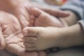 Close up Mother Holding Feet of infant Baby in Her Hand. Royalty Free Stock Photo