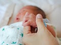 Close up mother`s holding baby hand. Concept of love and family Royalty Free Stock Photo