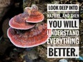 Close up on motivational and inspirational quote - Look deep into nature, and then you will understand everything better Royalty Free Stock Photo