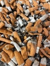 Close-up of a mountain of cigarette butts burnt with ash Royalty Free Stock Photo