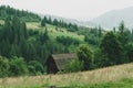 Close-up mountain slope overgrown with trees and lush green grass, small houses at foot mountain. Ukraine, Carpathian Royalty Free Stock Photo