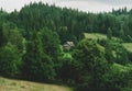 Close-up mountain slope overgrown with trees and lush green grass, small houses at foot mountain. Ukraine, Carpathian Royalty Free Stock Photo