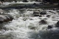 mountain water with stones in the river.mountain river rapids with fast water and large rocky boulders in the water Royalty Free Stock Photo