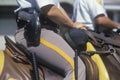 Close-up of mounted police, Wilmington, Delaware