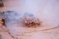 Splashing mud in hot pots at Fountain Paint Pots in Yellowstone Royalty Free Stock Photo